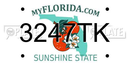 3247TK Florida License Plate