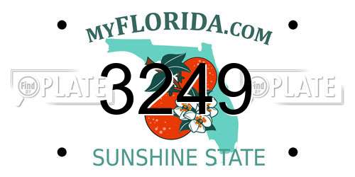 3249 Florida License Plate