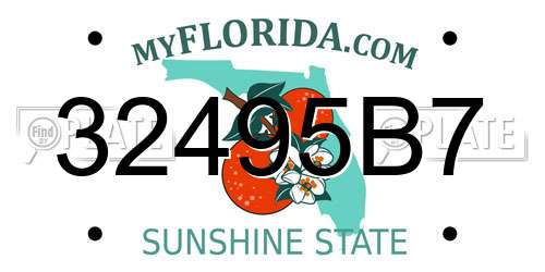 32495B7 Florida License Plate