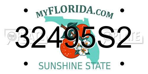 32495S2 Florida License Plate