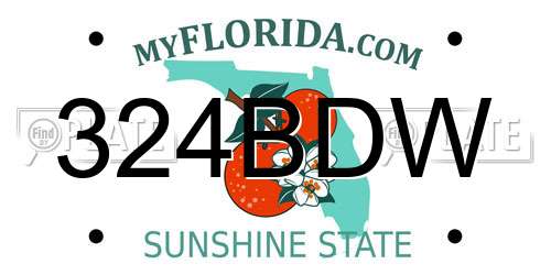 324BDW Florida License Plate