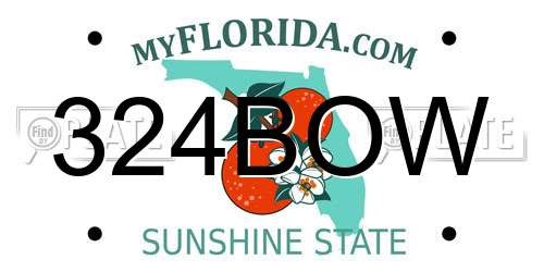 324BOW Florida License Plate