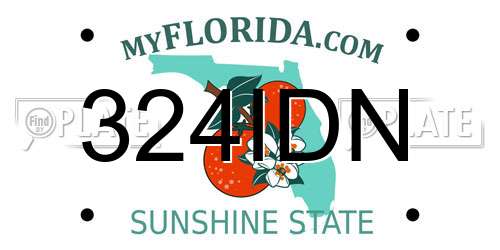 324IDN Florida License Plate