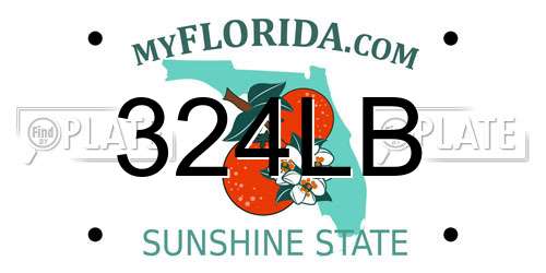 324LB Florida License Plate