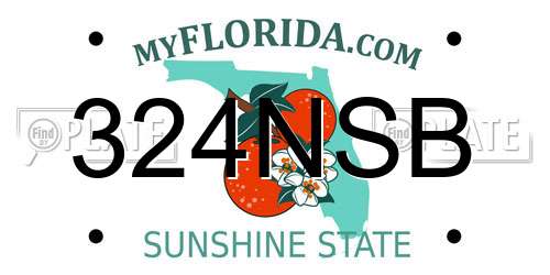 324NSB Florida License Plate