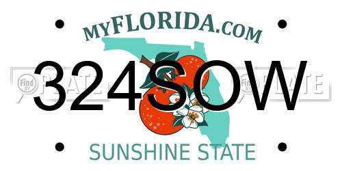324SOW Florida License Plate