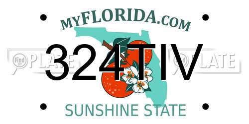 324TIV Florida License Plate