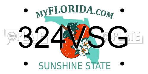 324VSG Florida License Plate