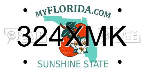 324XMK Florida License Plate