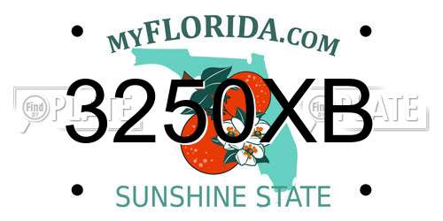 3250XB Florida License Plate