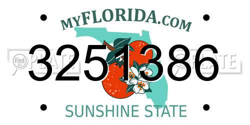 3251386 Florida License Plate