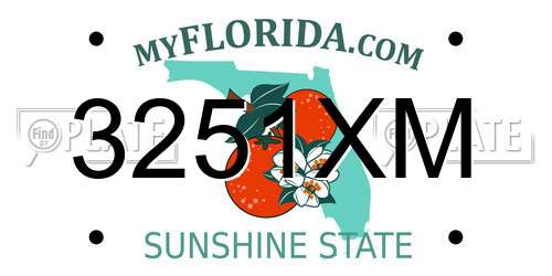 3251XM Florida License Plate