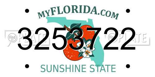 3253722 Florida License Plate