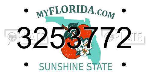 3253772 Florida License Plate