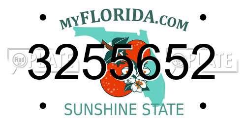 3255652 Florida License Plate