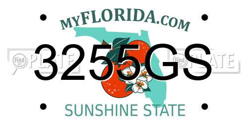 3255GS Florida License Plate