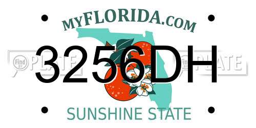 3256DH Florida License Plate
