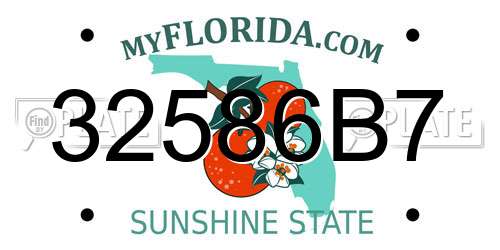 32586B7 Florida License Plate