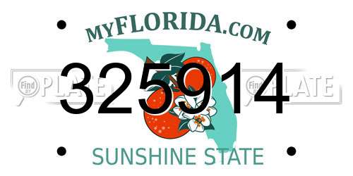 325914 Florida License Plate