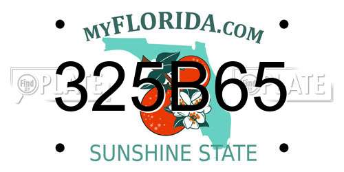 325B65 Florida License Plate