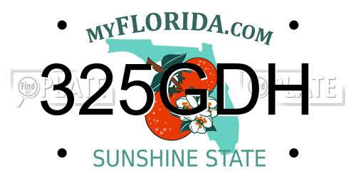 325GDH Florida License Plate