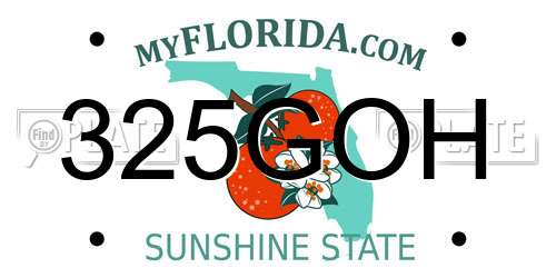325GOH Florida License Plate