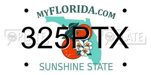 325PTX Florida License Plate