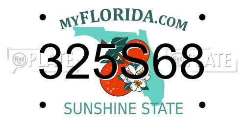 325S68 Florida License Plate