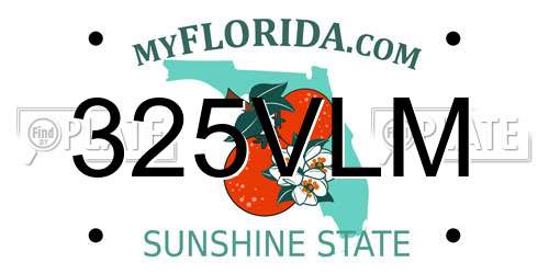 325VLM Florida License Plate