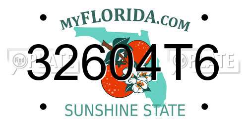 32604T6 Florida License Plate