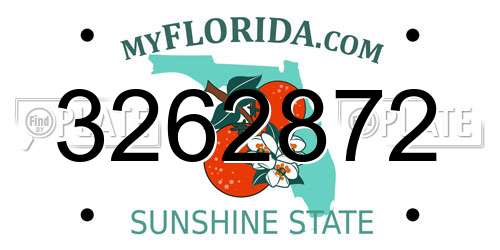 3262872 Florida License Plate