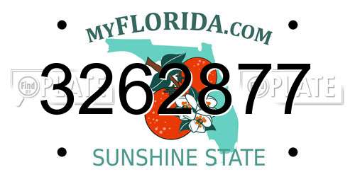 3262877 Florida License Plate