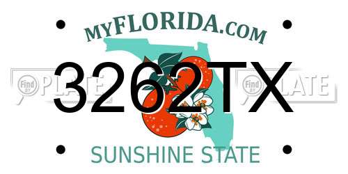 3262TX Florida License Plate