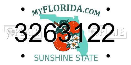 3263122 Florida License Plate