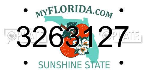 3263127 Florida License Plate