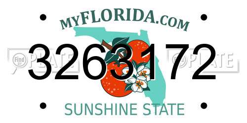 3263172 Florida License Plate