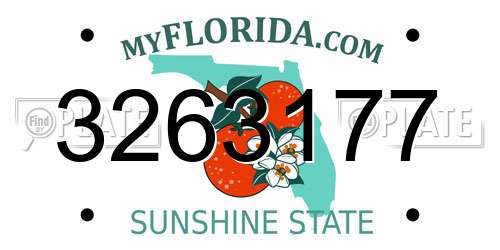 3263177 Florida License Plate