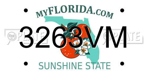 3263VM Florida License Plate