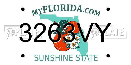 3263VY Florida License Plate
