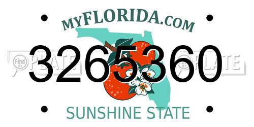3265360 Florida License Plate