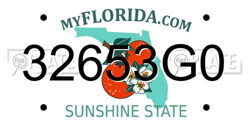 32653G0 Florida License Plate