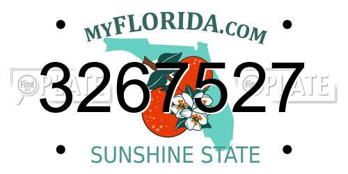 3267527 Florida License Plate