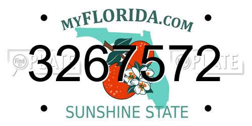 3267572 Florida License Plate
