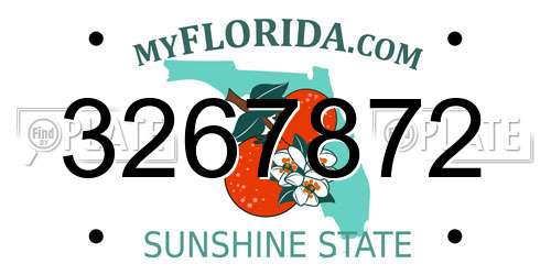 3267872 Florida License Plate