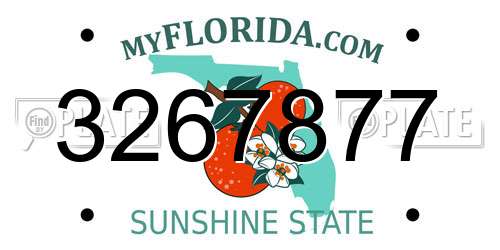 3267877 Florida License Plate