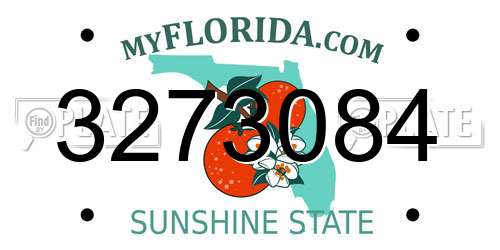3273084 Florida License Plate