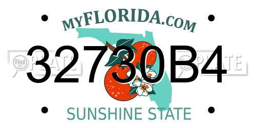 32730B4 Florida License Plate