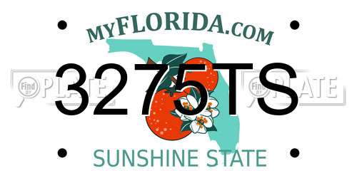 3275TS Florida License Plate