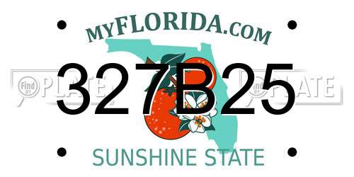 327B25 Florida License Plate