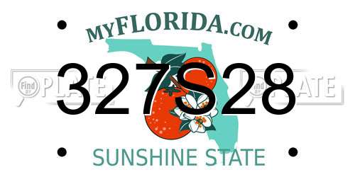 327S28 Florida License Plate